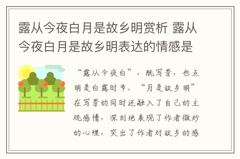 露从今夜白月是故乡明赏析 露从今夜白月是故乡明表达的情感是什么