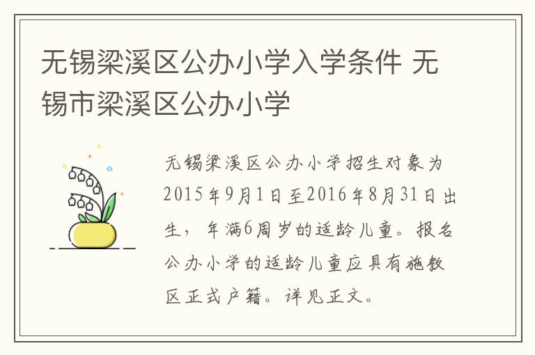 无锡梁溪区公办小学入学条件 无锡市梁溪区公办小学
