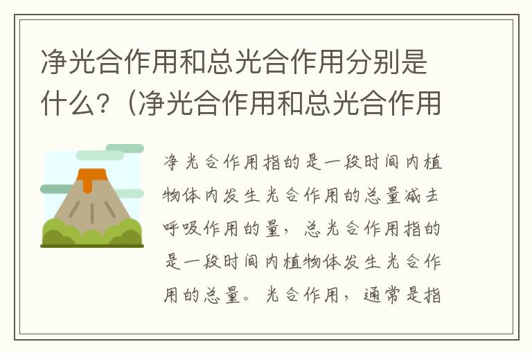 净光合作用和总光合作用分别是什么?（净光合作用和总光合作用分别是什么）