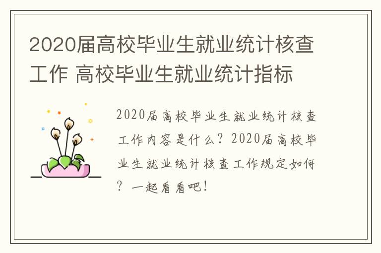 2020届高校毕业生就业统计核查工作 高校毕业生就业统计指标
