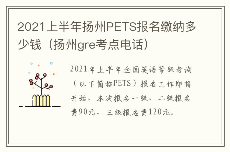 2021上半年扬州PETS报名缴纳多少钱（扬州gre考点电话）