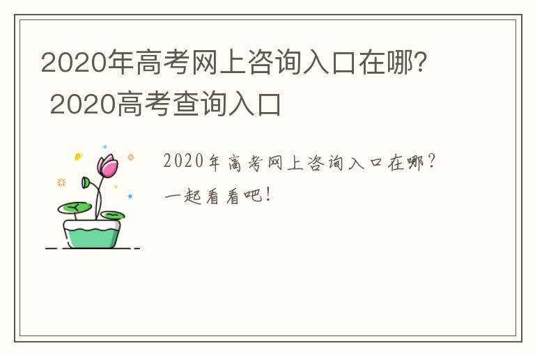 2020年高考网上咨询入口在哪？ 2020高考查询入口