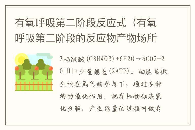 有氧呼吸第二阶段反应式（有氧呼吸第二阶段的反应物产物场所）