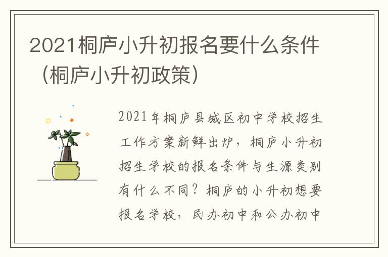 2021桐庐小升初报名要什么条件（桐庐小升初政策）