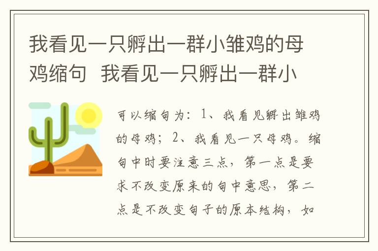 我看见一只孵出一群小雏鸡的母鸡缩句  我看见一只孵出一群小雏鸡的母鸡怎么缩句