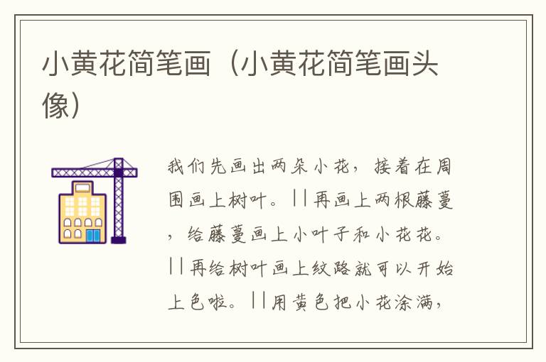 小黄花简笔画（小黄花简笔画头像）