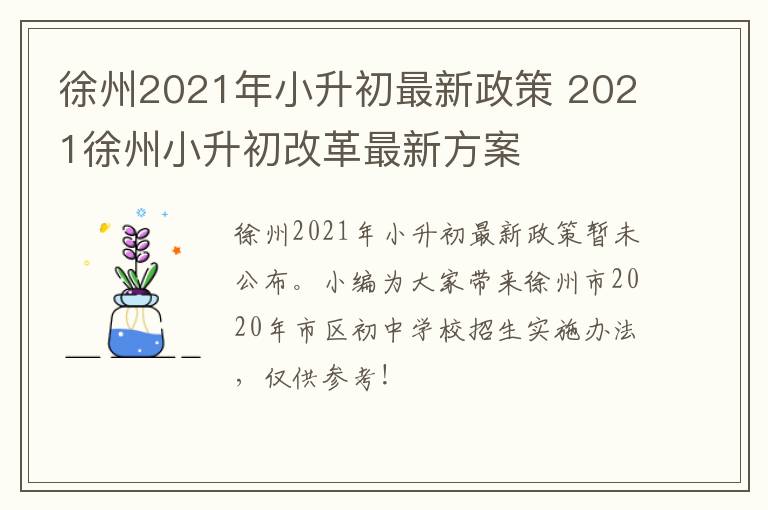 徐州2021年小升初最新政策 2021徐州小升初改革最新方案