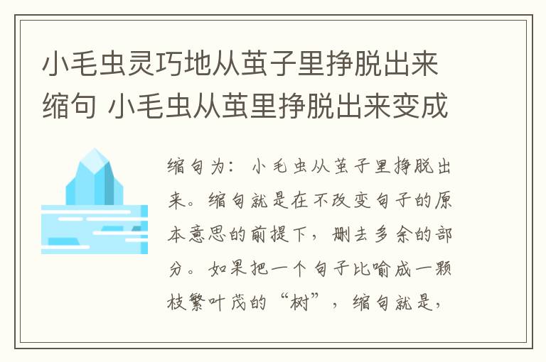 小毛虫灵巧地从茧子里挣脱出来缩句 小毛虫从茧里挣脱出来变成什么