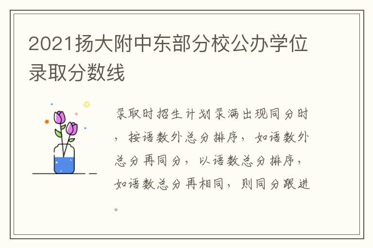 2021扬大附中东部分校公办学位录取分数线