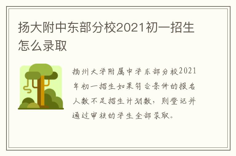 扬大附中东部分校2021初一招生怎么录取