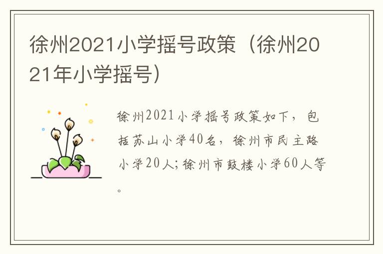 徐州2021小学摇号政策（徐州2021年小学摇号）
