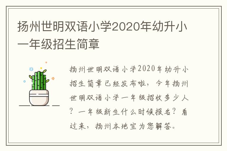 扬州世明双语小学2020年幼升小一年级招生简章