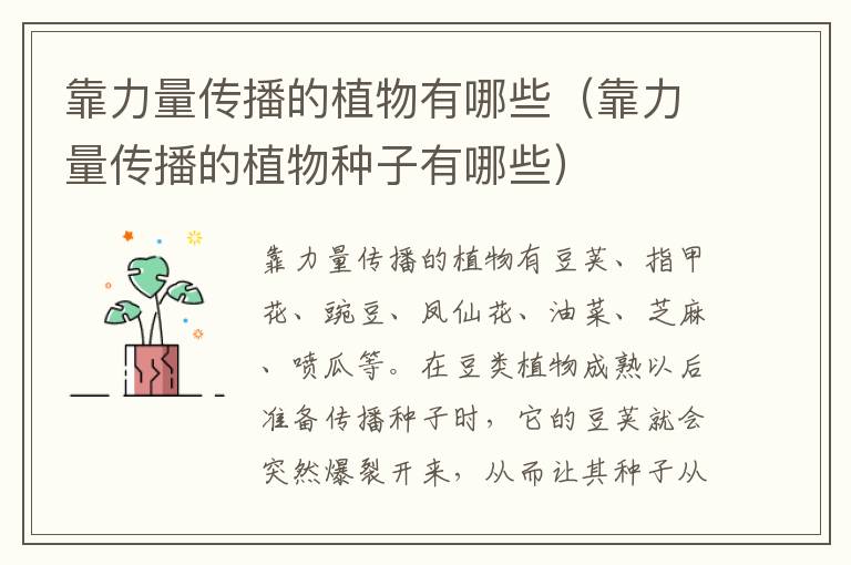 靠力量传播的植物有哪些（靠力量传播的植物种子有哪些）