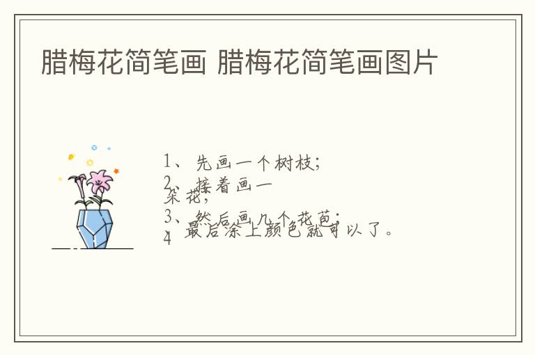 腊梅花简笔画 腊梅花简笔画图片