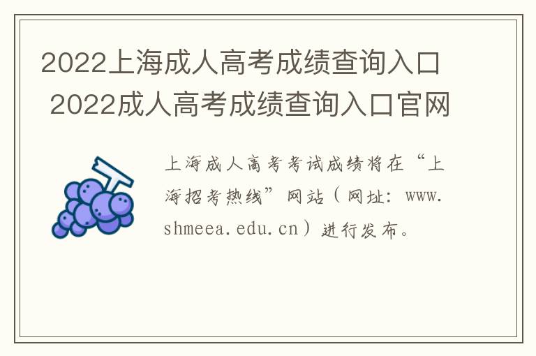 2022上海成人高考成绩查询入口 2022成人高考成绩查询入口官网下载