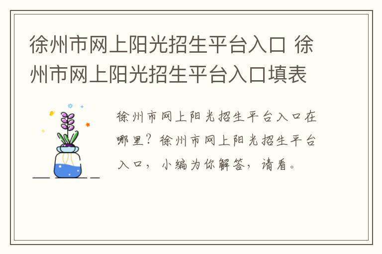 徐州市网上阳光招生平台入口 徐州市网上阳光招生平台入口填表说明