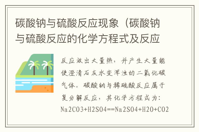 碳酸钠与硫酸反应现象（碳酸钠与硫酸反应的化学方程式及反应现象）