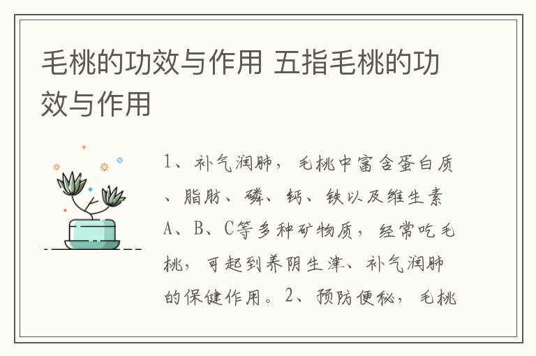 毛桃的功效与作用 五指毛桃的功效与作用