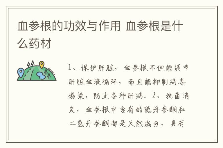 血参根的功效与作用 血参根是什么药材