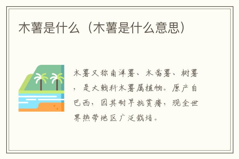 木薯是什么（木薯是什么意思）