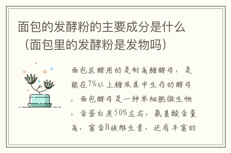 面包的发酵粉的主要成分是什么（面包里的发酵粉是发物吗）
