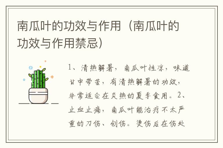 南瓜叶的功效与作用（南瓜叶的功效与作用禁忌）