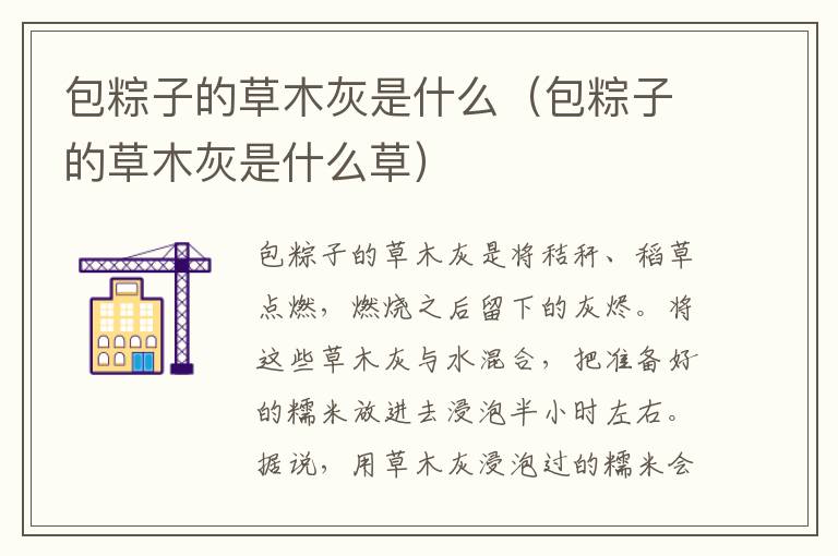 包粽子的草木灰是什么（包粽子的草木灰是什么草）