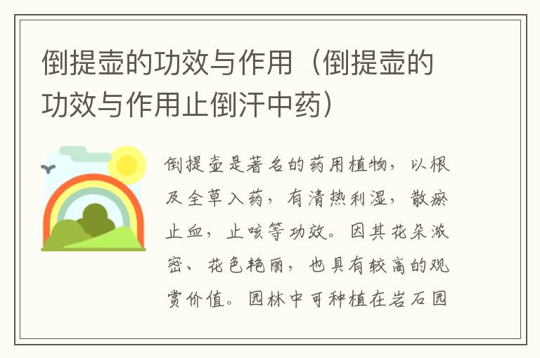 倒提壶的功效与作用（倒提壶的功效与作用止倒汗中药）