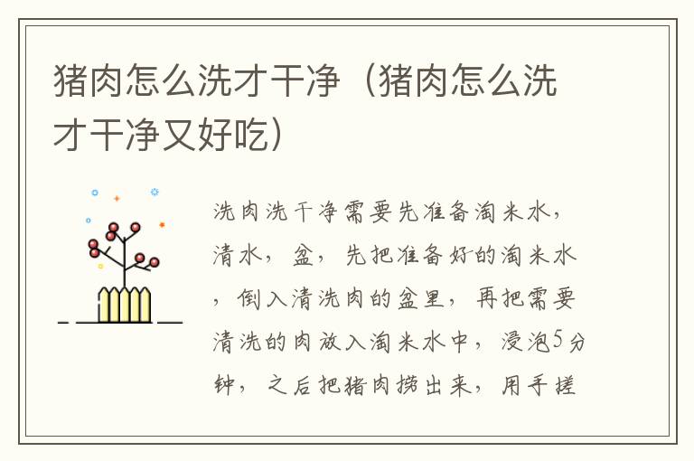 猪肉怎么洗才干净（猪肉怎么洗才干净又好吃）