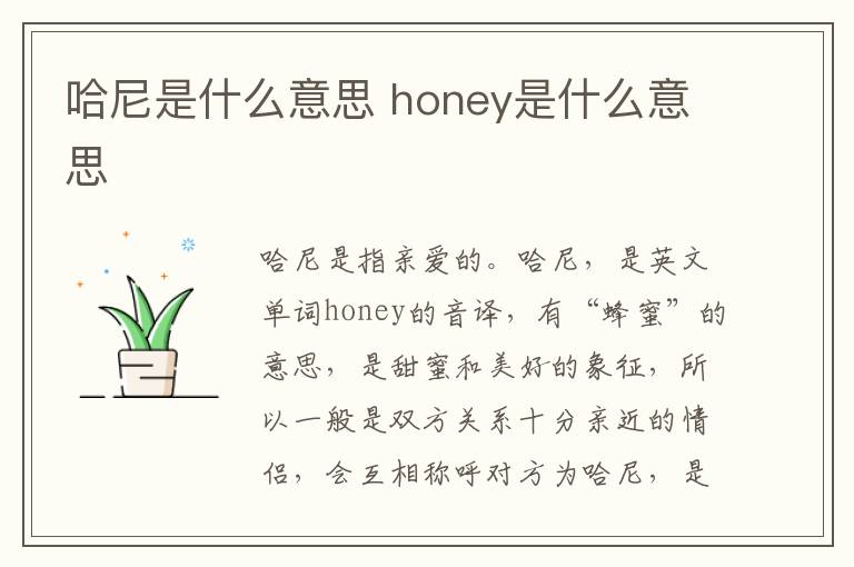 哈尼是什么意思 honey是什么意思
