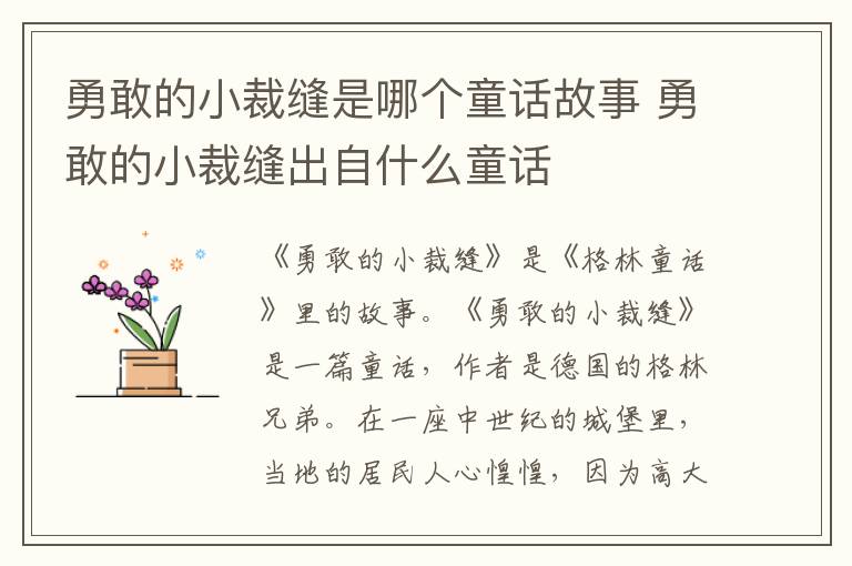 勇敢的小裁缝是哪个童话故事 勇敢的小裁缝出自什么童话