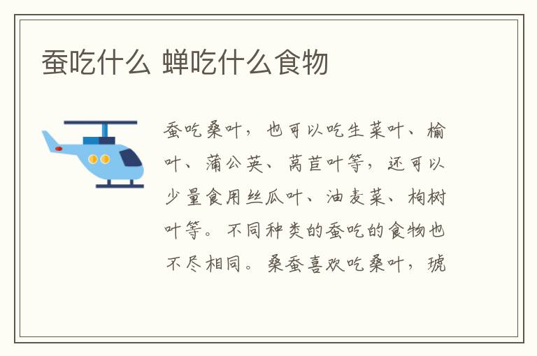 蚕吃什么 蝉吃什么食物