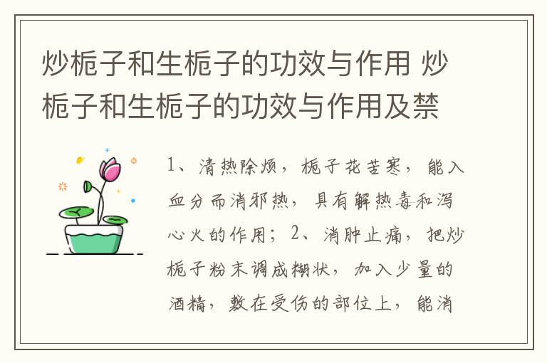 炒栀子和生栀子的功效与作用 炒栀子和生栀子的功效与作用及禁忌