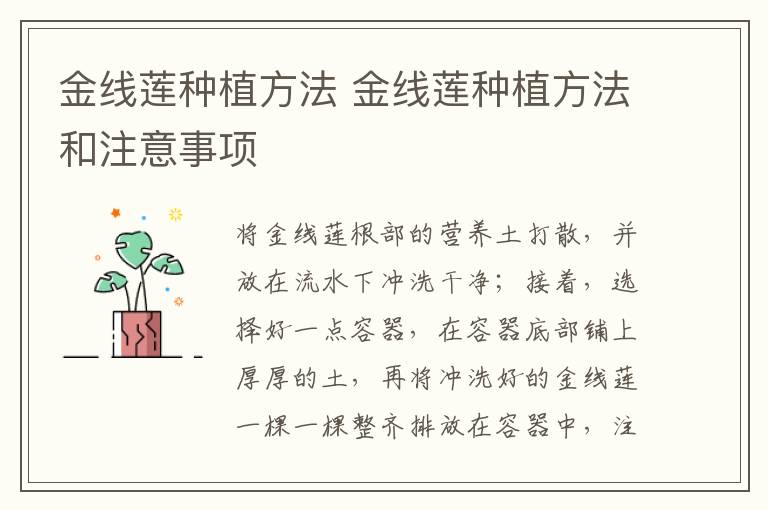 金线莲种植方法 金线莲种植方法和注意事项