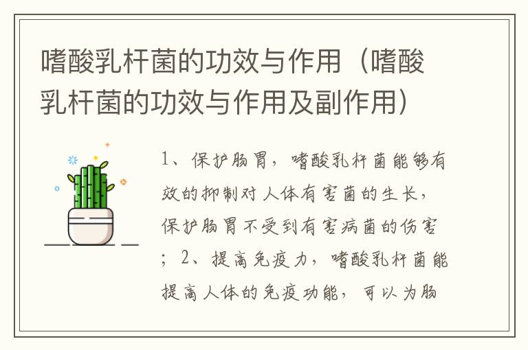 嗜酸乳杆菌的功效与作用（嗜酸乳杆菌的功效与作用及副作用）