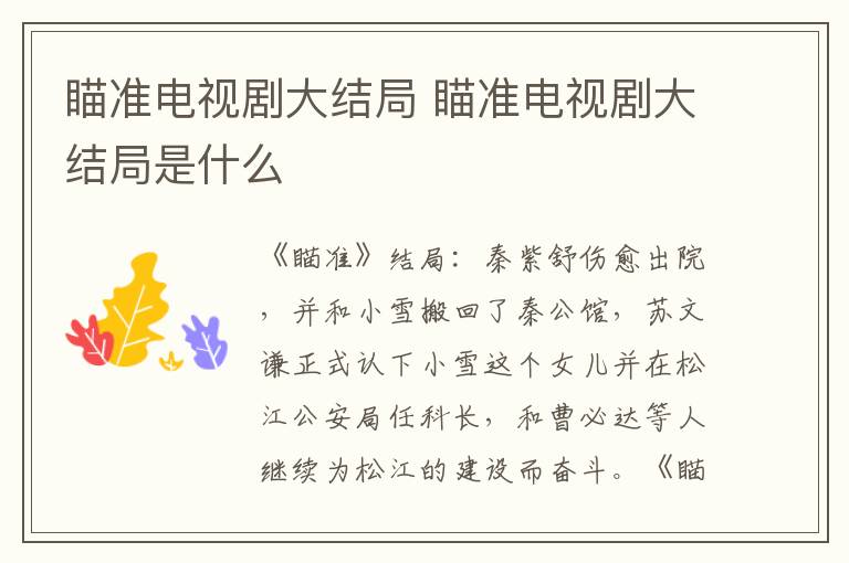 瞄准电视剧大结局 瞄准电视剧大结局是什么