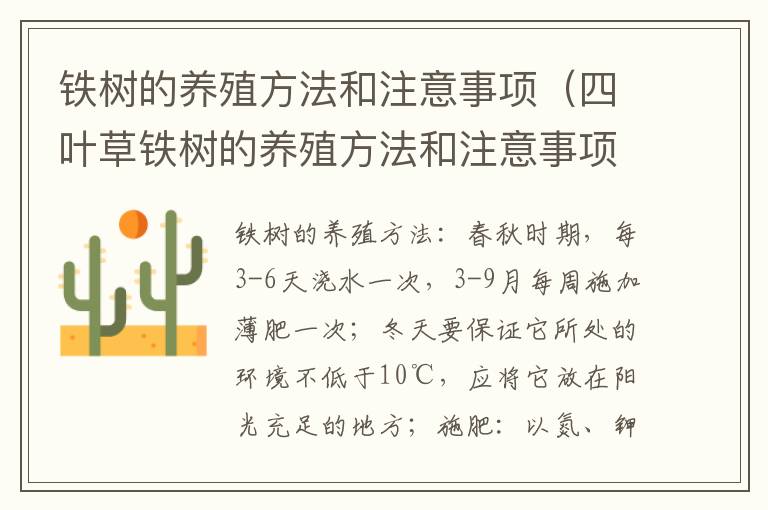 铁树的养殖方法和注意事项（四叶草铁树的养殖方法和注意事项）