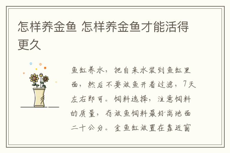 怎样养金鱼 怎样养金鱼才能活得更久