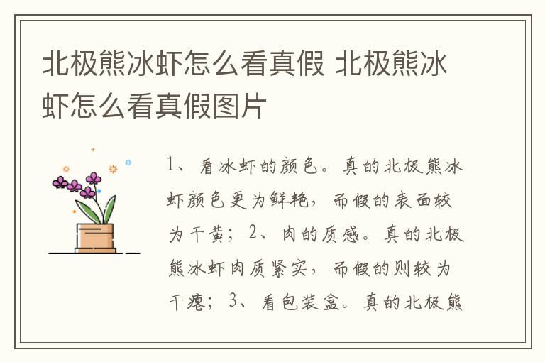 北极熊冰虾怎么看真假 北极熊冰虾怎么看真假图片