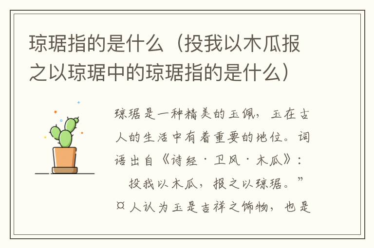 琼琚指的是什么（投我以木瓜报之以琼琚中的琼琚指的是什么）