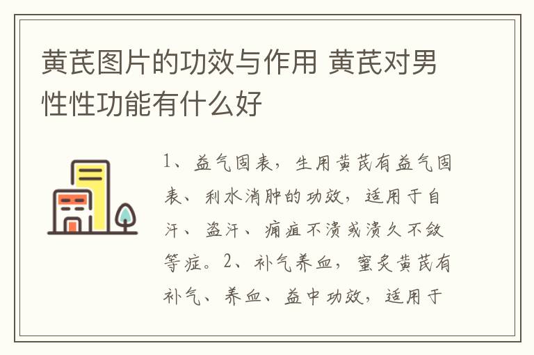黄芪图片的功效与作用 黄芪对男性性功能有什么好