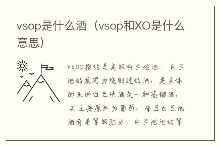vsop是什么酒（vsop和XO是什么意思）