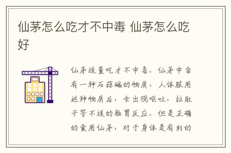仙茅怎么吃才不中毒 仙茅怎么吃好