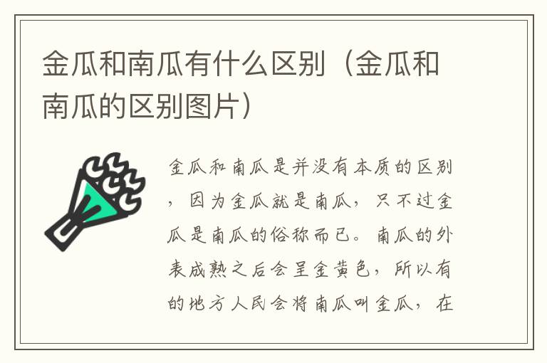 金瓜和南瓜有什么区别（金瓜和南瓜的区别图片）