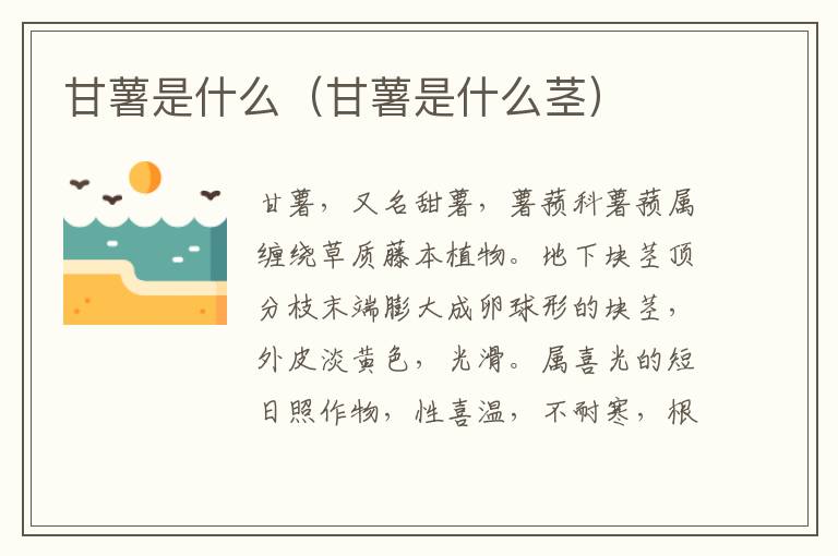 甘薯是什么（甘薯是什么茎）