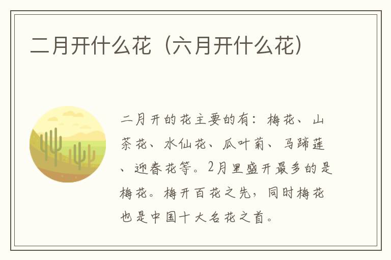 二月开什么花（六月开什么花）