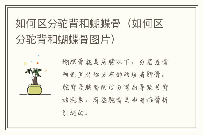 如何区分驼背和蝴蝶骨（如何区分驼背和蝴蝶骨图片）