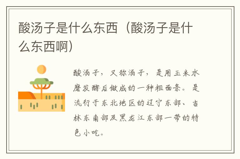 酸汤子是什么东西（酸汤子是什么东西啊）