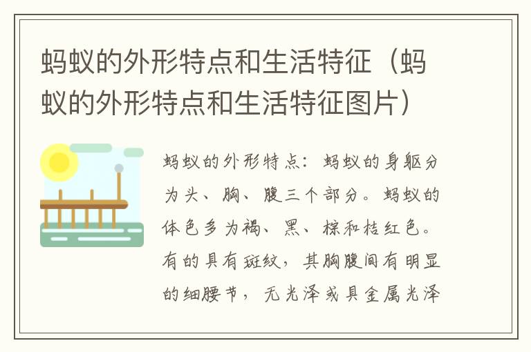 蚂蚁的外形特点和生活特征（蚂蚁的外形特点和生活特征图片）