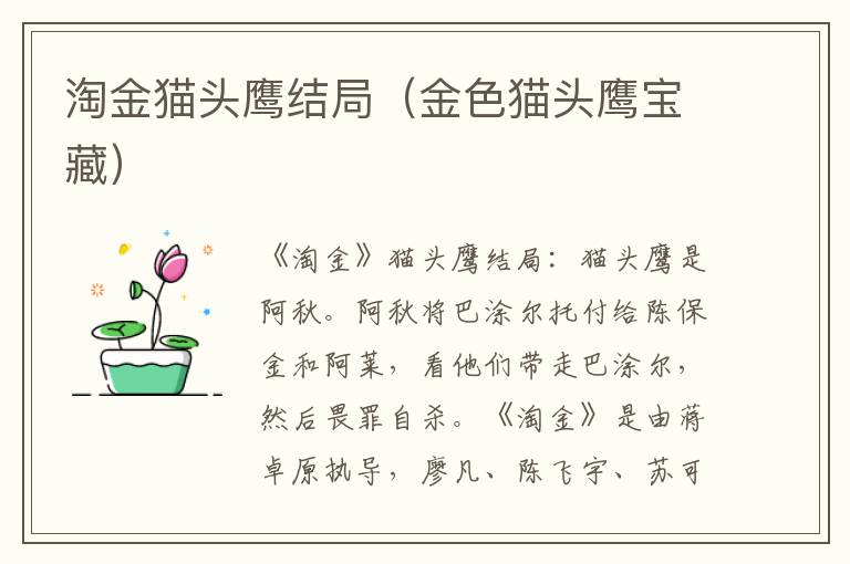 淘金猫头鹰结局（金色猫头鹰宝藏）